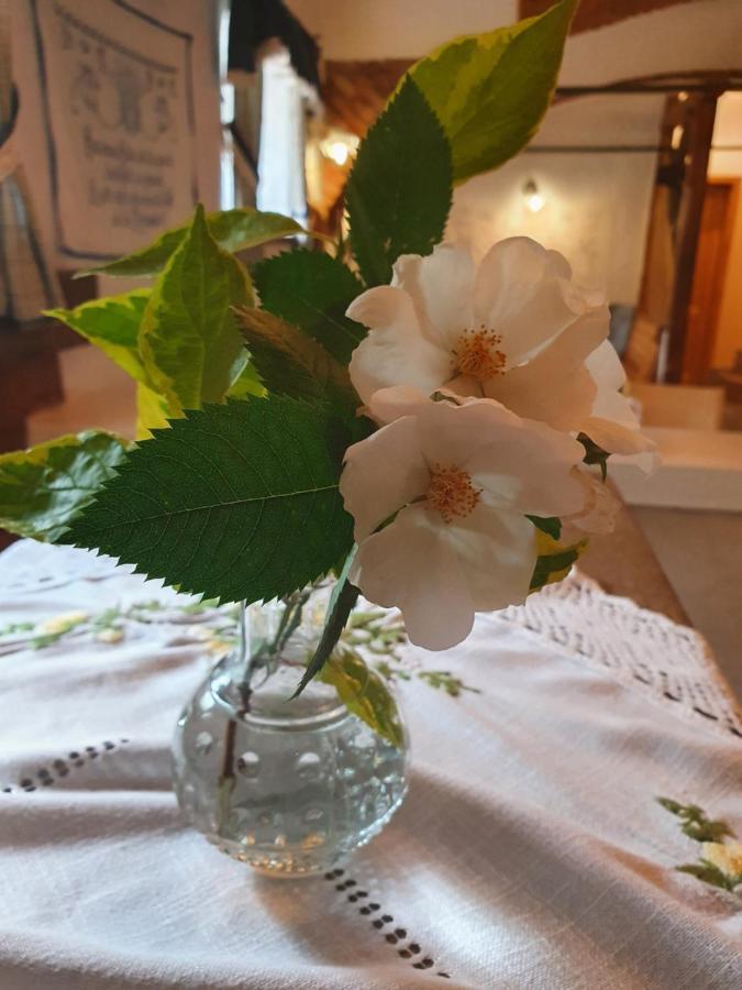 Hotel Landhof Steinbaeck Sankt Stefan ob Stainz Zewnętrze zdjęcie