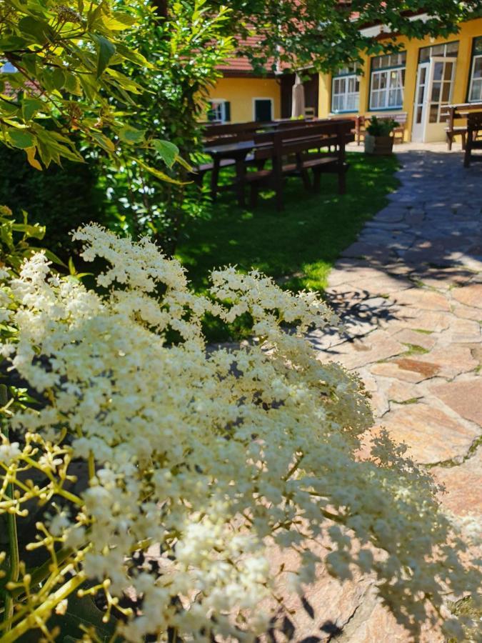 Hotel Landhof Steinbaeck Sankt Stefan ob Stainz Zewnętrze zdjęcie