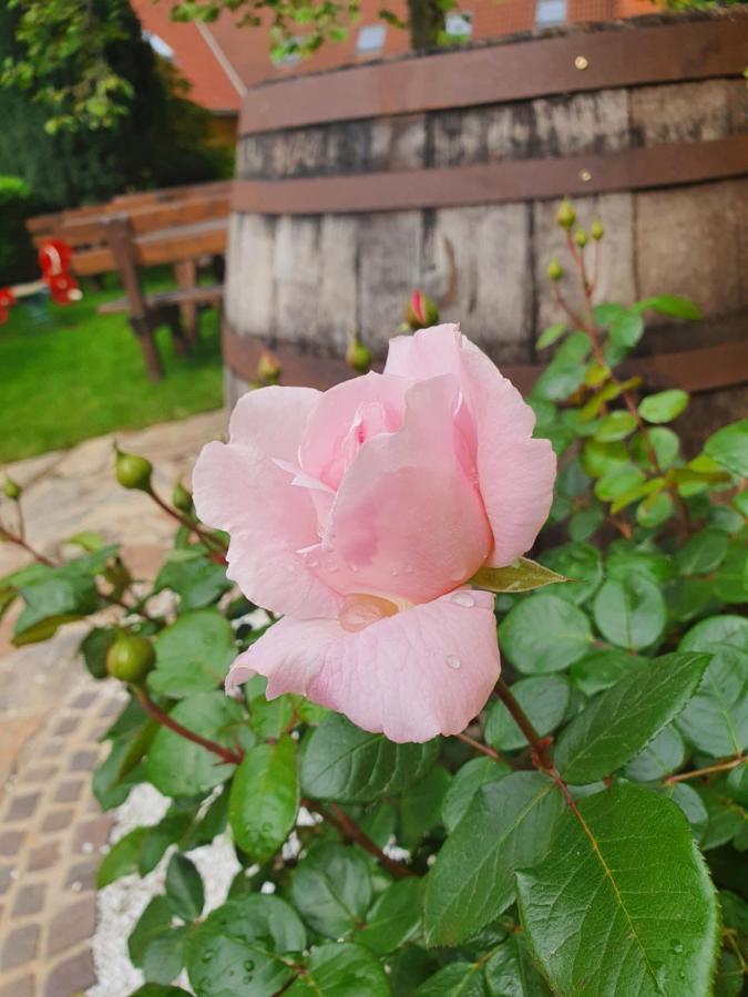 Hotel Landhof Steinbaeck Sankt Stefan ob Stainz Zewnętrze zdjęcie