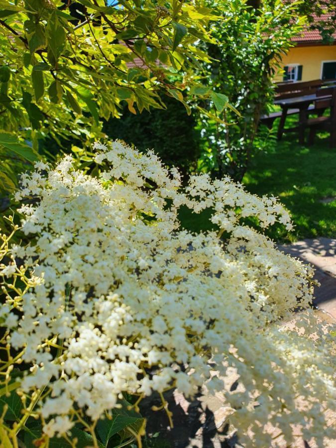 Hotel Landhof Steinbaeck Sankt Stefan ob Stainz Zewnętrze zdjęcie