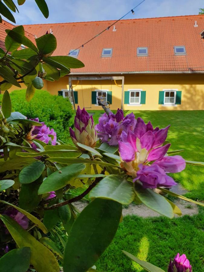 Hotel Landhof Steinbaeck Sankt Stefan ob Stainz Zewnętrze zdjęcie